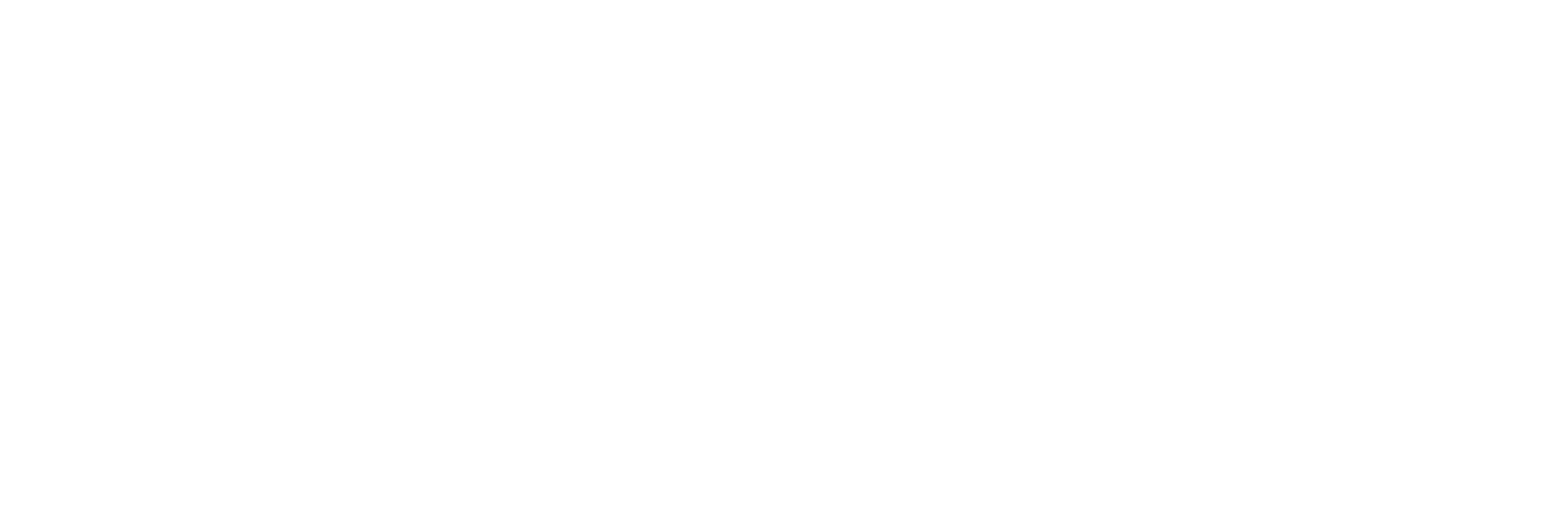 Auto Boltz